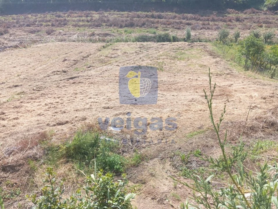 Terreno para Venda em Salir de Matos Foto 9