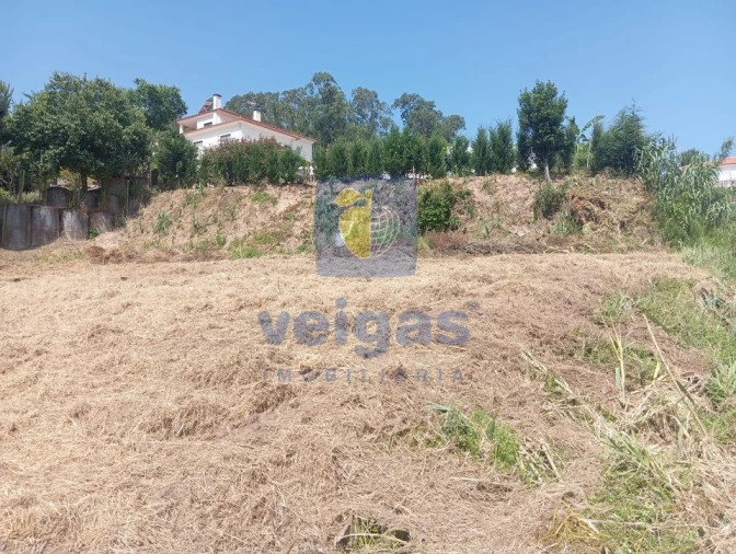 Terreno para Venda em Salir de Matos Foto 4