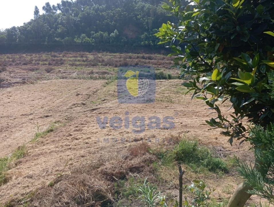 Terreno para Venda em Salir de Matos Foto 12