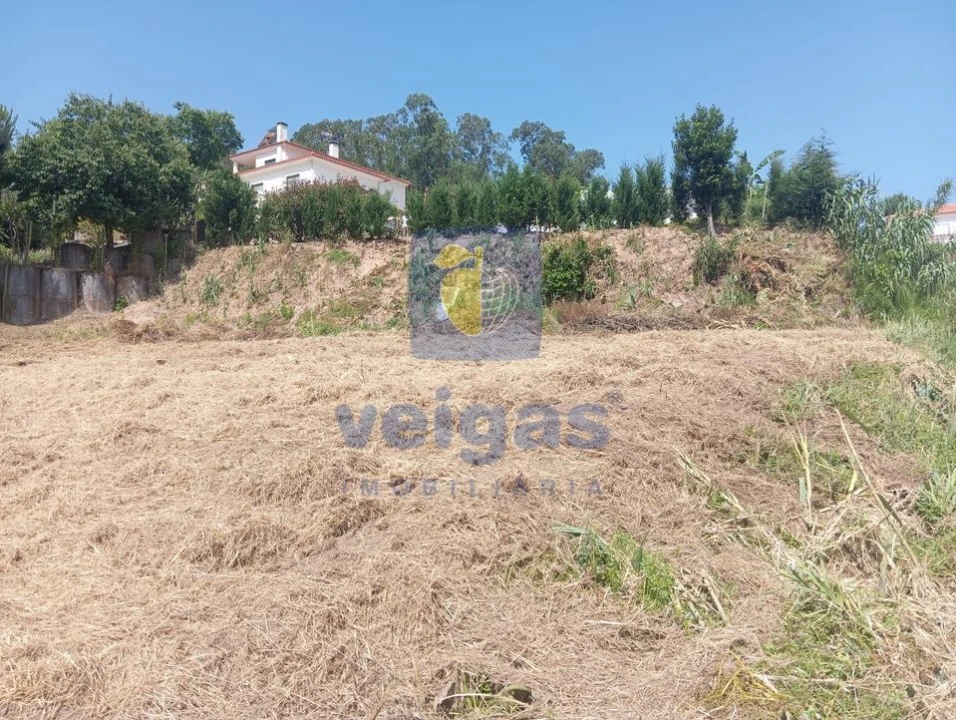 Terreno para Venda em Salir de Matos Foto 6
