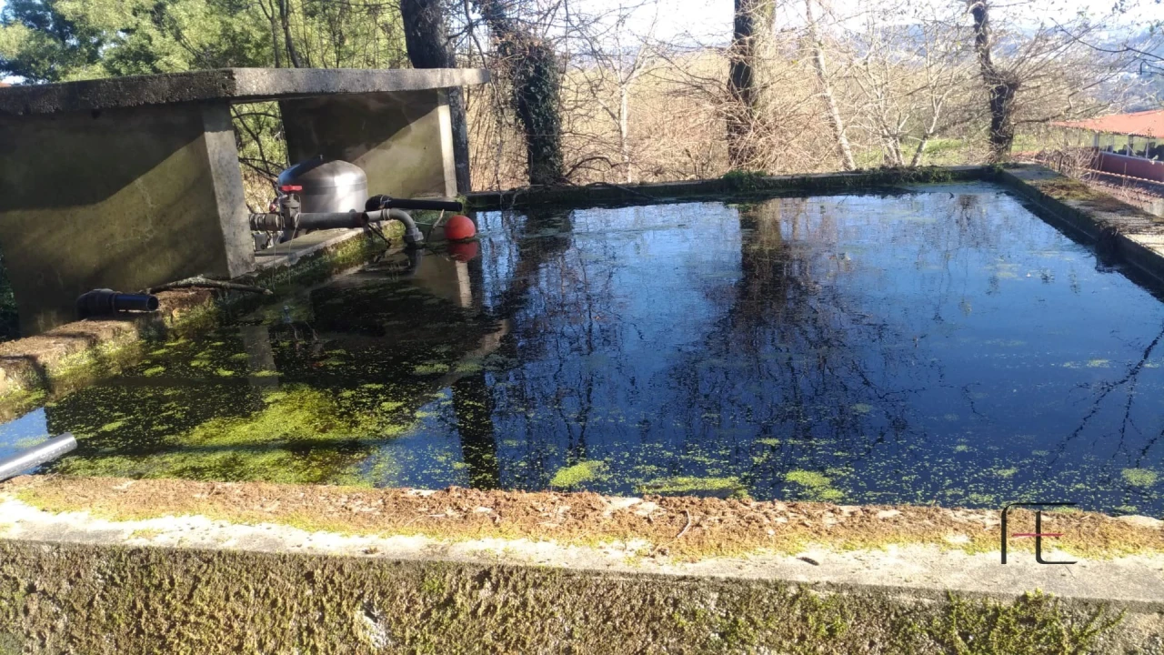 Quinta T4 para Venda em Abação e Gémeos Foto 63