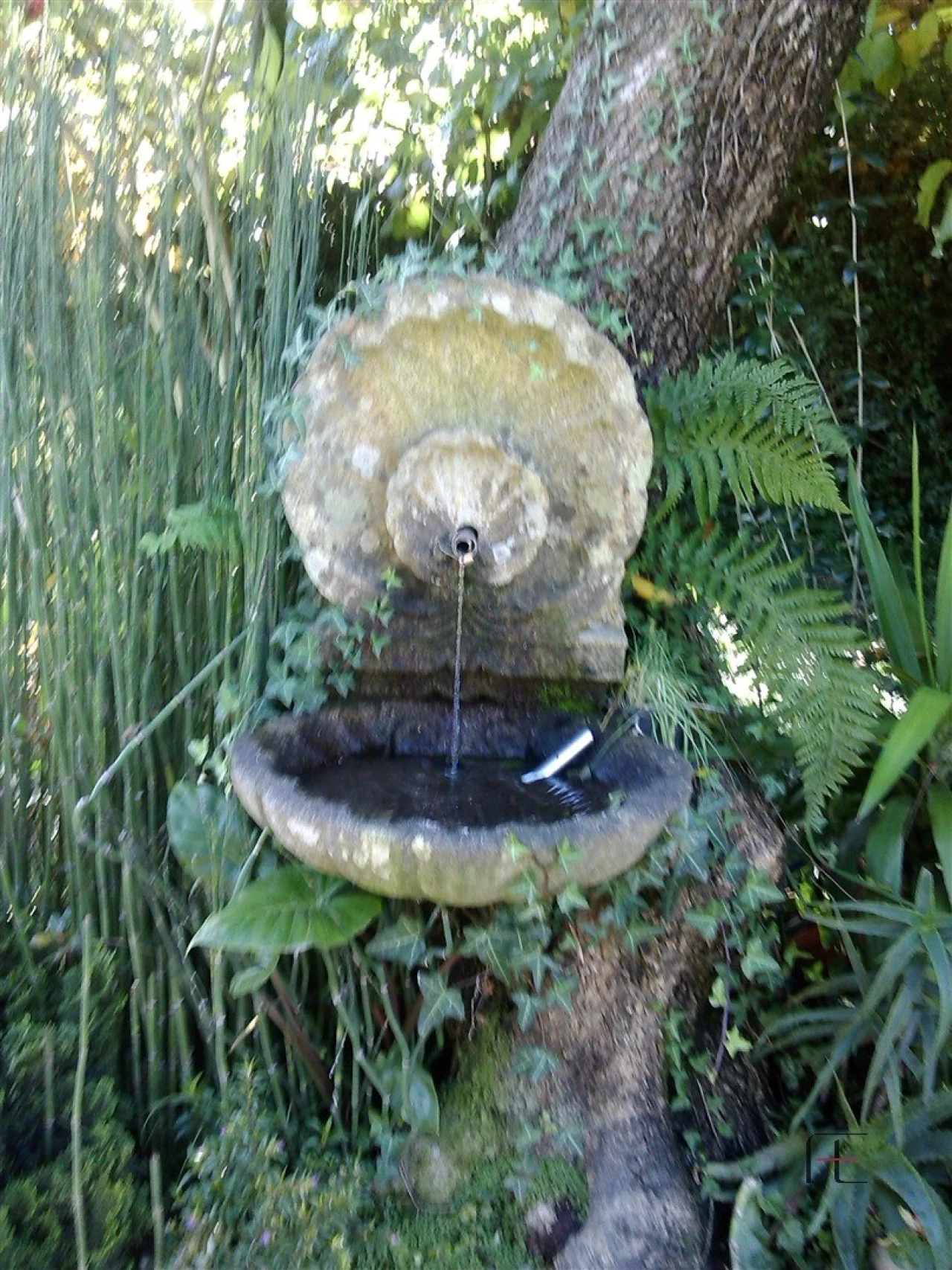 Quinta T4 para Venda em Abação e Gémeos Foto 24