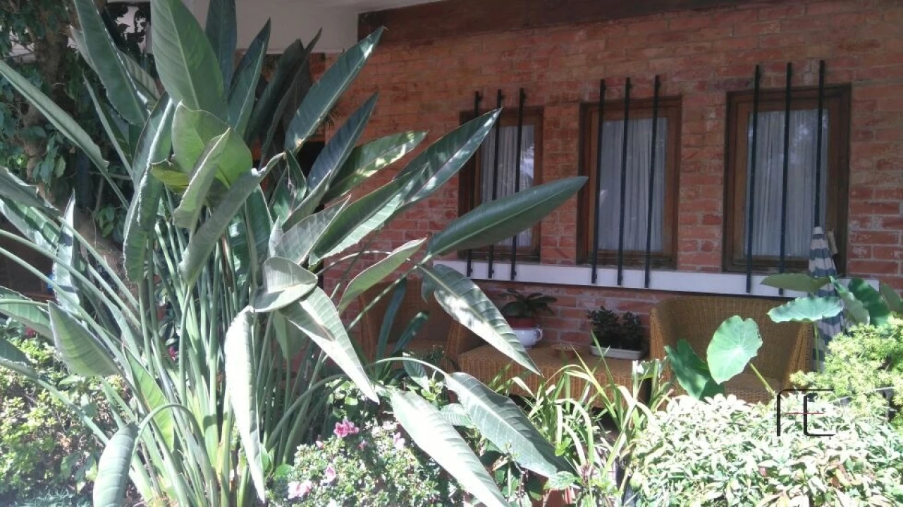 Quinta T4 para Venda em Abação e Gémeos Foto 13