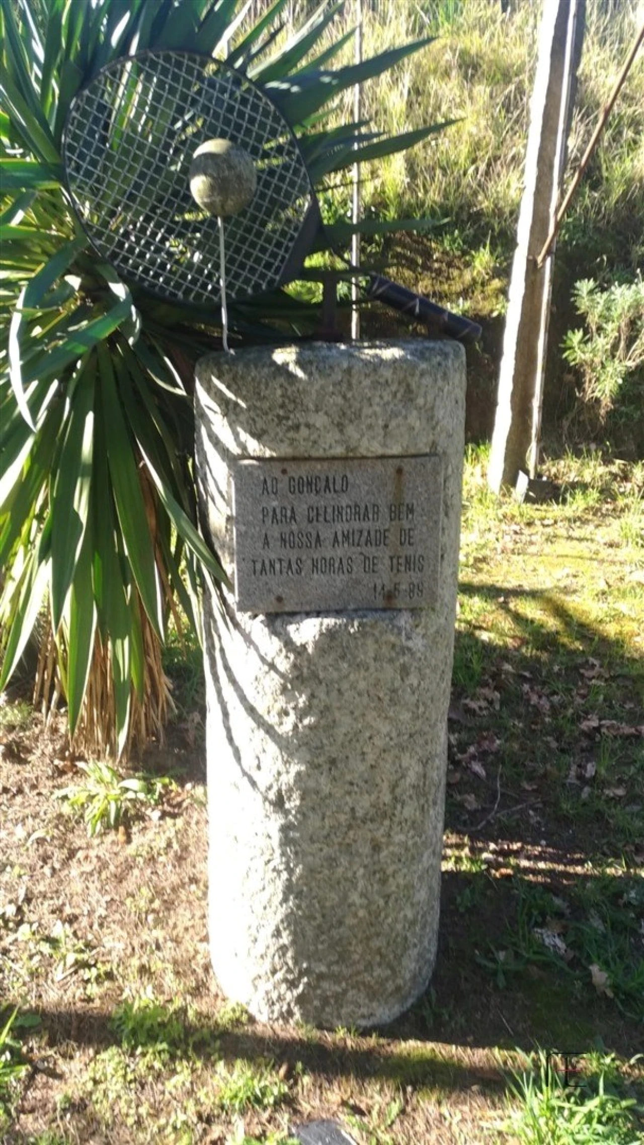 Quinta T4 para Venda em Abação e Gémeos Foto 55