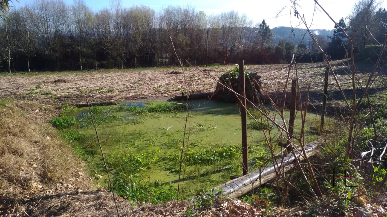 Quinta T4 para Venda em Abação e Gémeos Foto 65