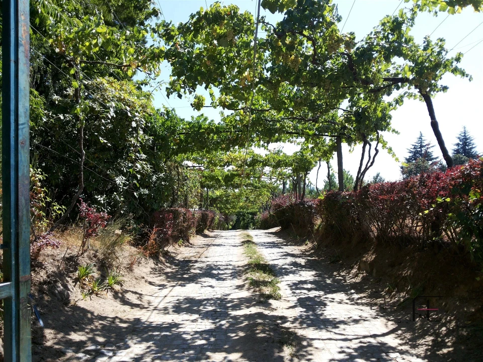 Quinta T4 para Venda em Abação e Gémeos Foto 11
