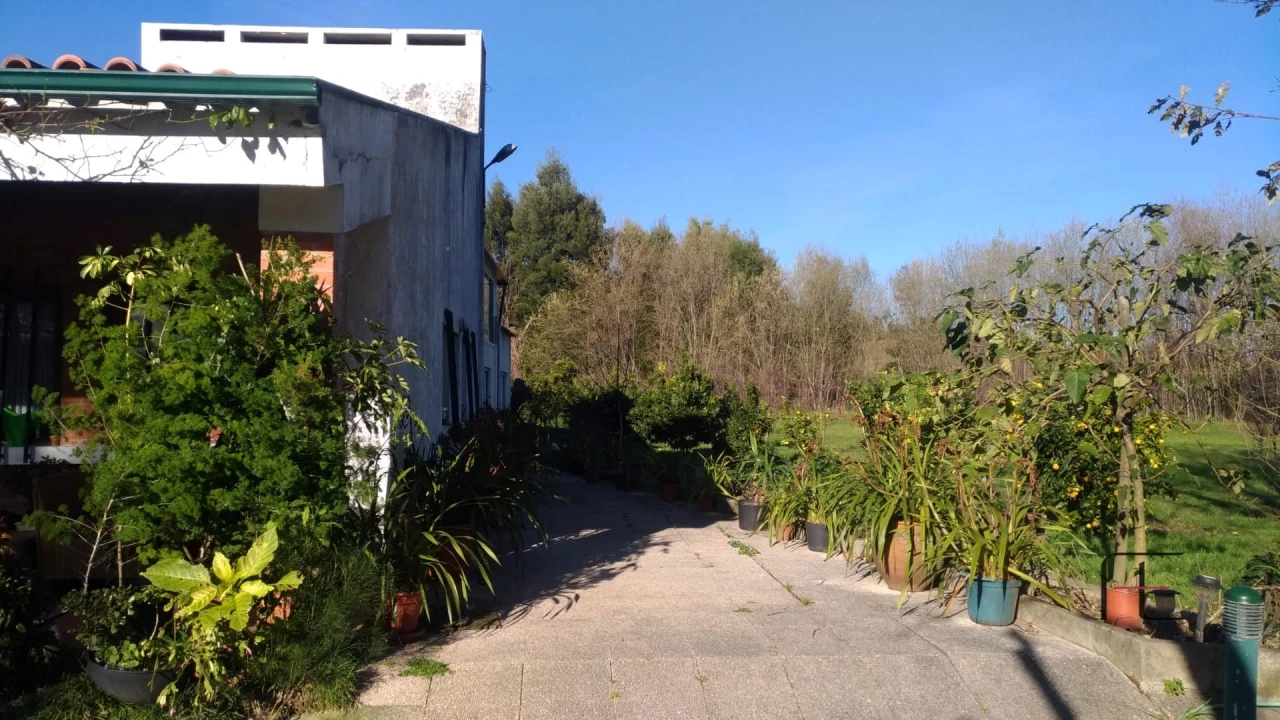 Quinta T4 para Venda em Abação e Gémeos Foto 64