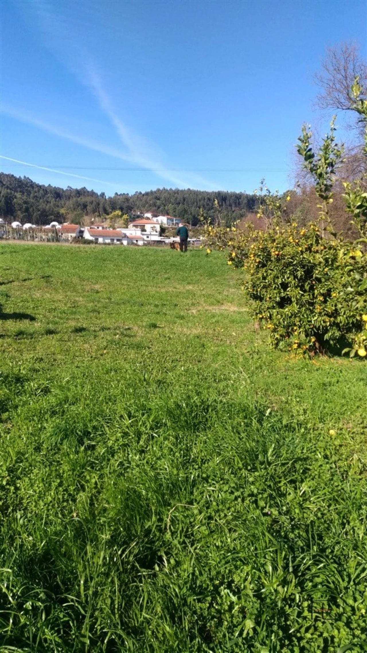 Quinta T4 para Venda em Abação e Gémeos Foto 57