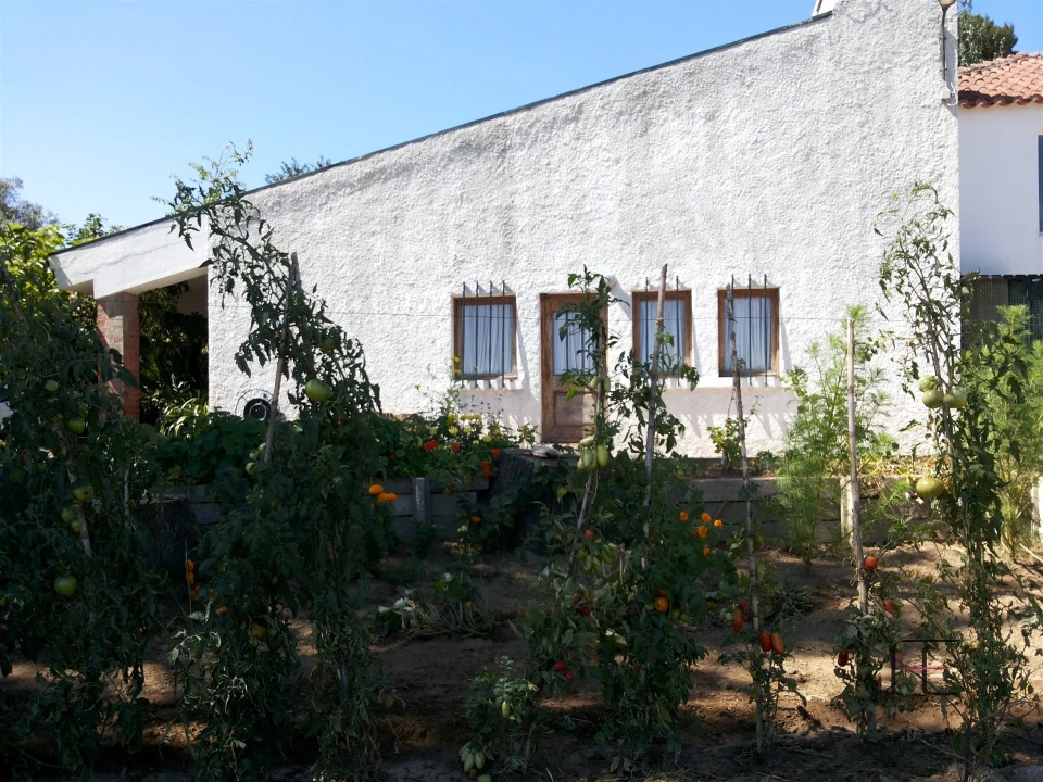 Quinta T4 para Venda em Abação e Gémeos Foto 25