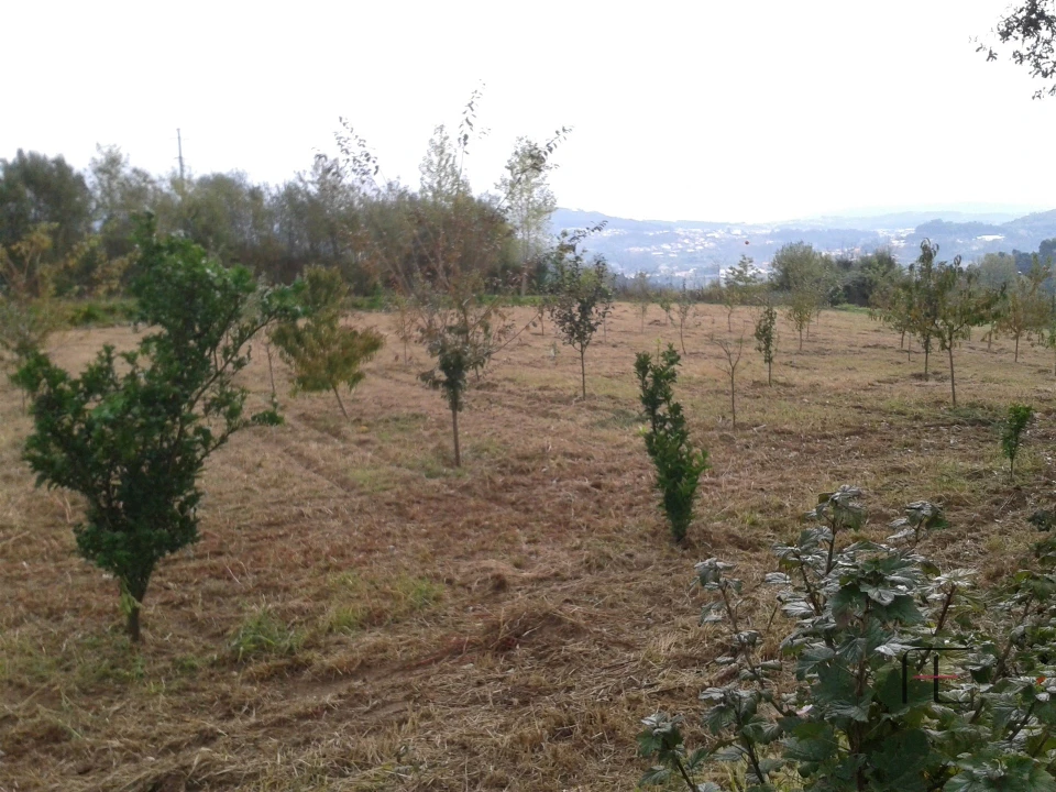 Quinta T4 para Venda em Abação e Gémeos Foto 3