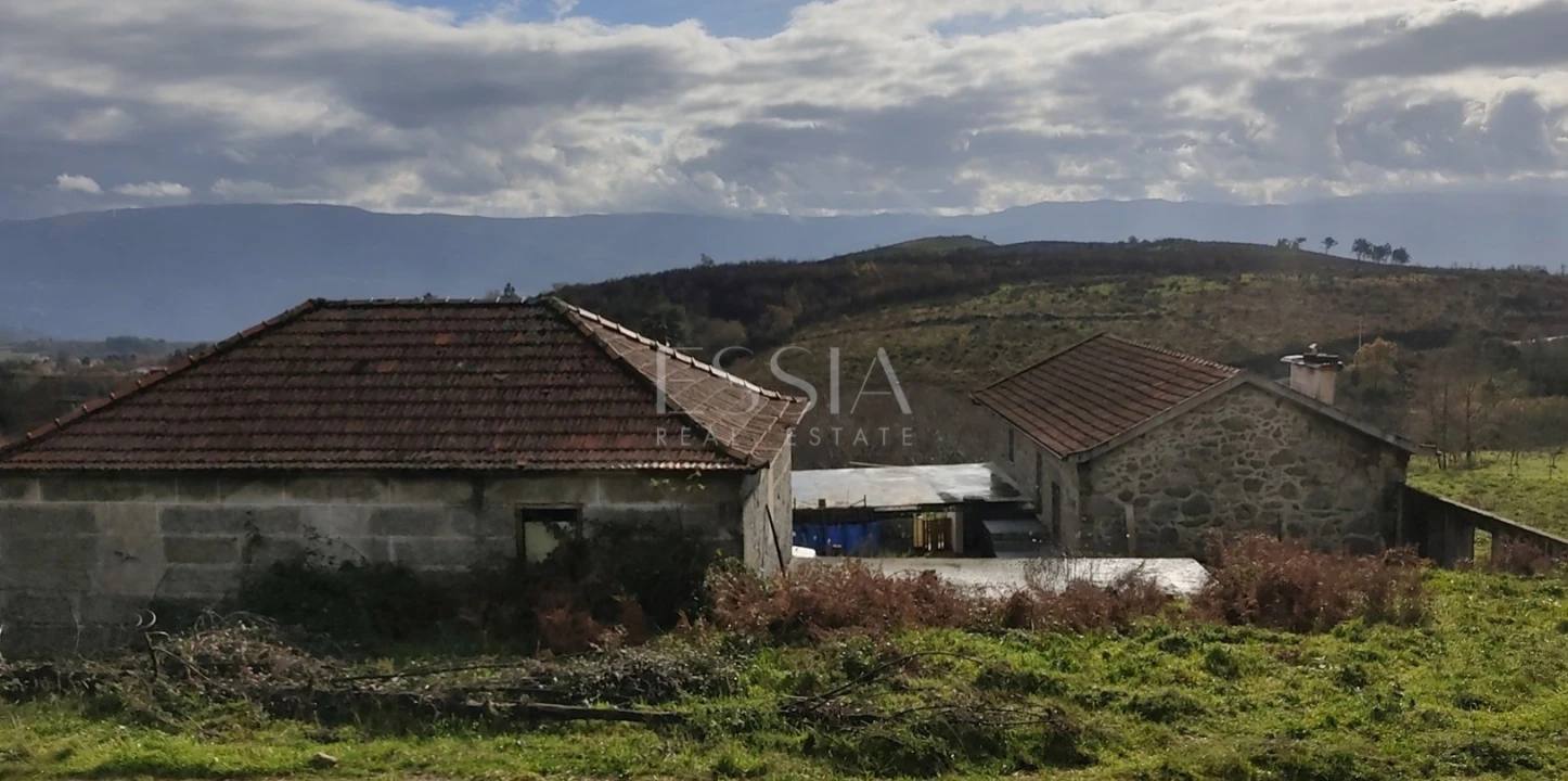 Terreno Misto para Arrendamento em Gestaço Foto 6
