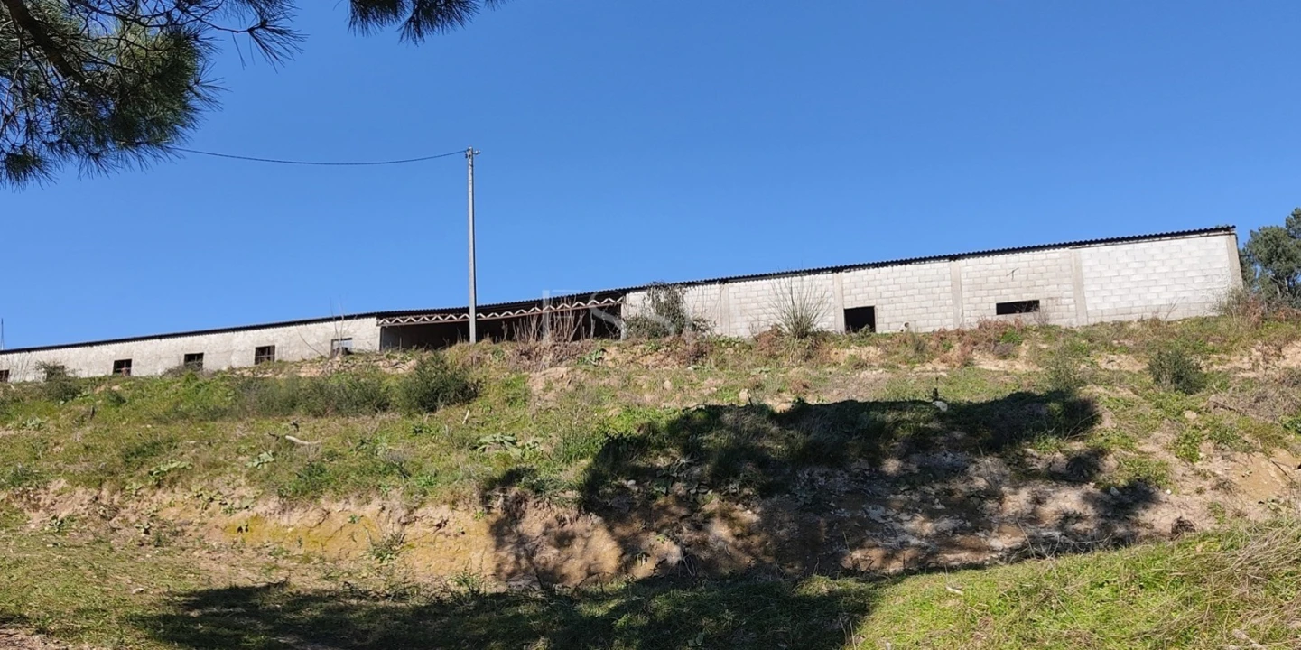 Terreno Misto para Venda em Gestaço Foto 7