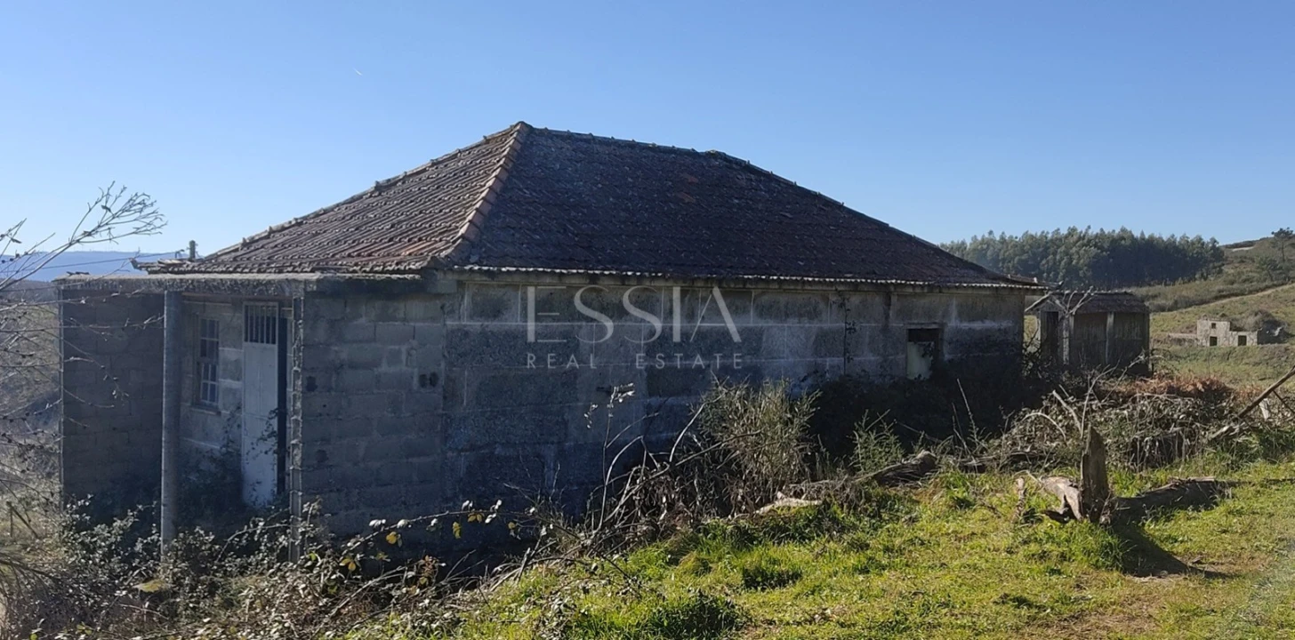 Terreno Misto para Venda em Gestaço Foto 9