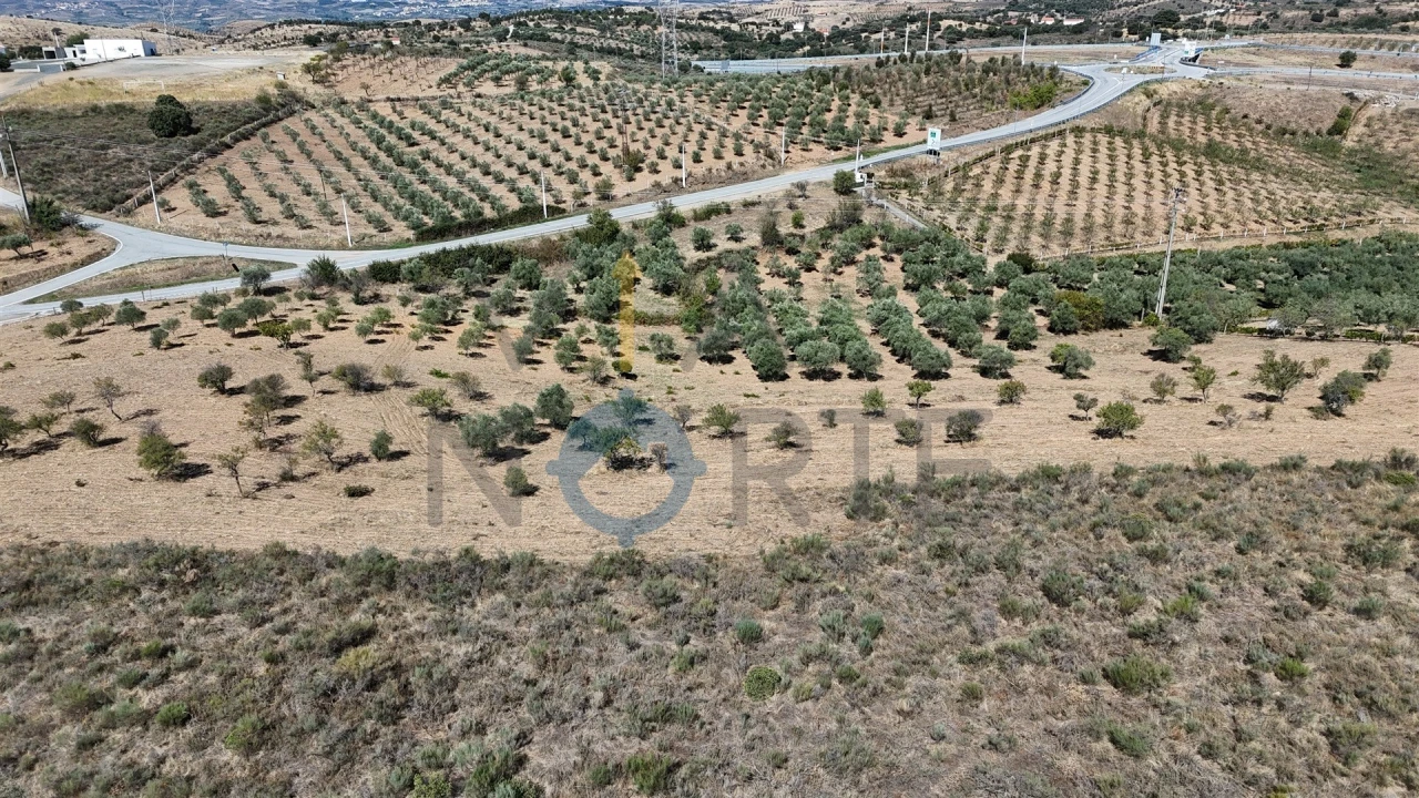 Terreno Agricola ou Rústico para Venda em Eucisia, Gouveia e Valverde Foto 5