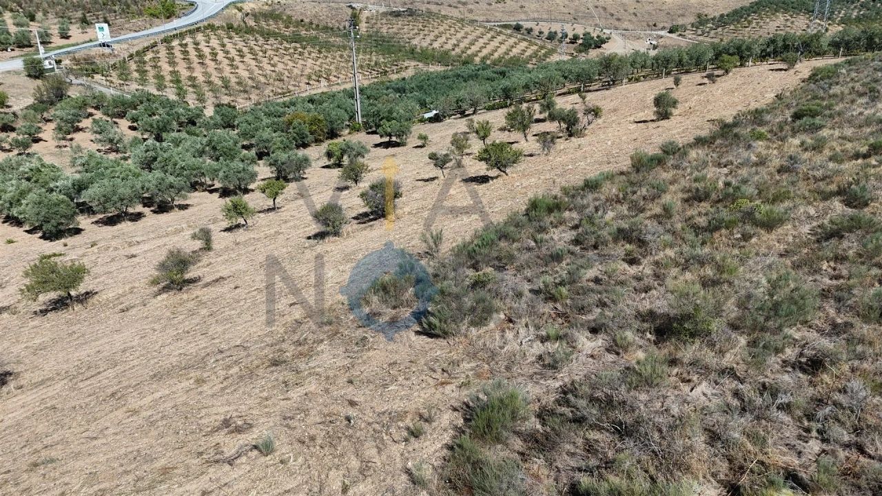 Terreno Agricola ou Rústico para Venda em Eucisia, Gouveia e Valverde Foto 7
