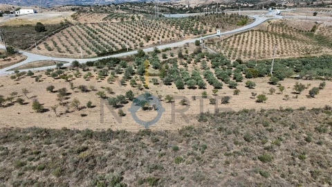 Terreno Agricola ou Rústico para Venda em Eucisia, Gouveia e Valverde