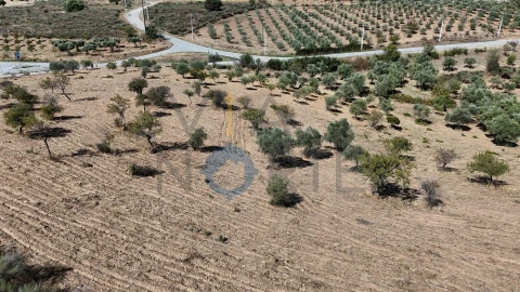 Terreno Agricola ou Rústico para Venda em Eucisia, Gouveia e Valverde