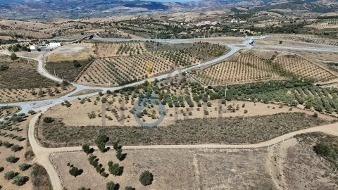 Terreno Agricola ou Rústico para Venda em Eucisia, Gouveia e Valverde