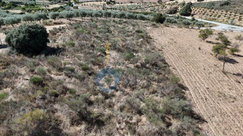 Terreno Agricola ou Rústico para Venda em Eucisia, Gouveia e Valverde