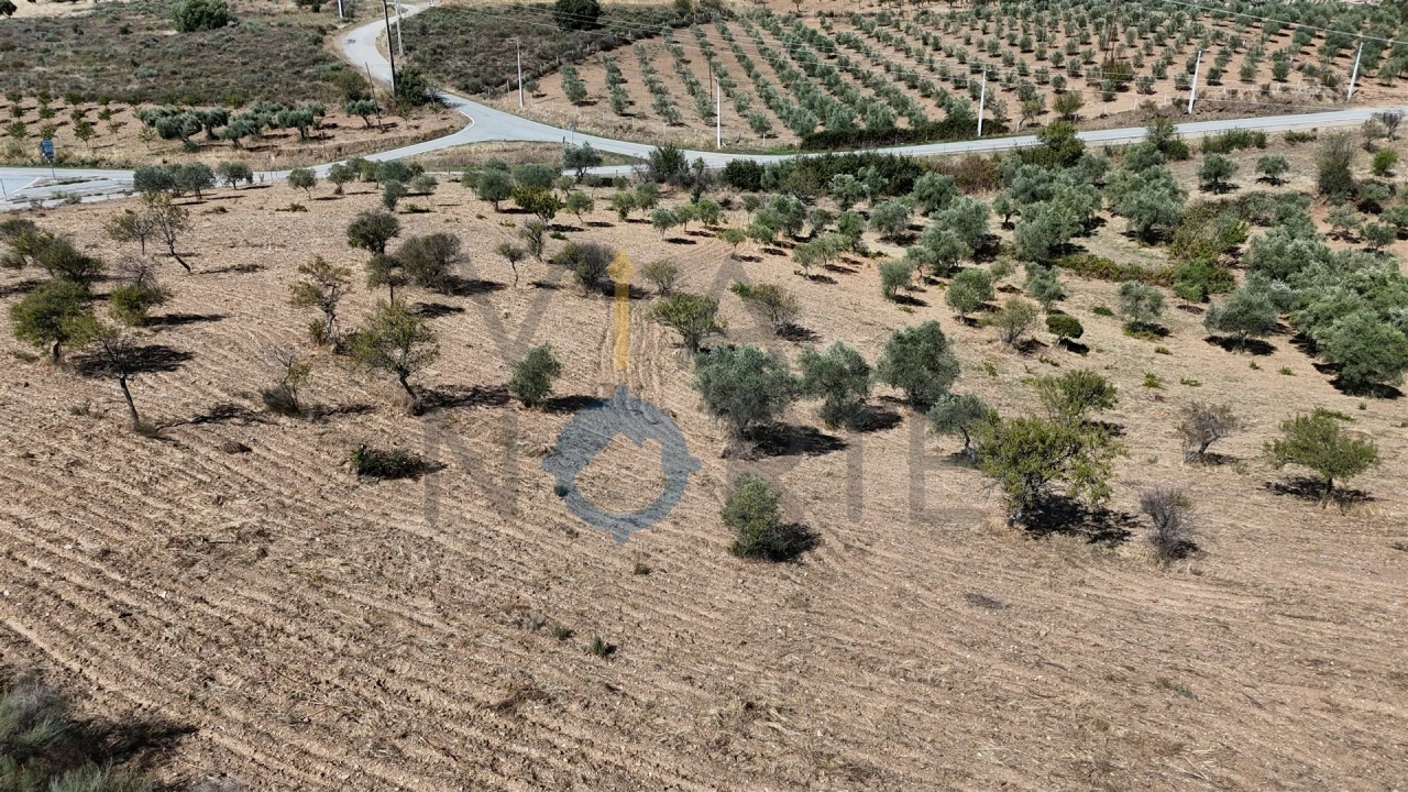 Terreno Agricola ou Rústico para Venda em Eucisia, Gouveia e Valverde Foto 6