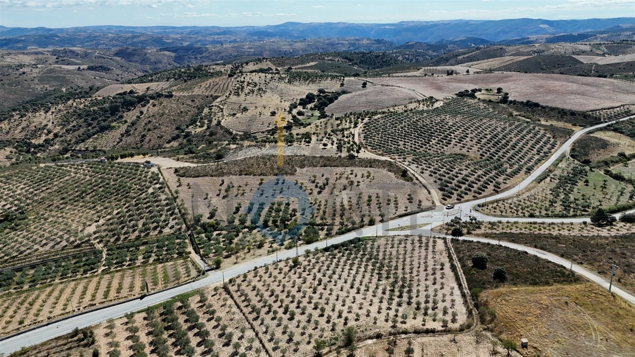Terreno Agricola ou Rústico para Venda em Eucisia, Gouveia e Valverde Foto 10