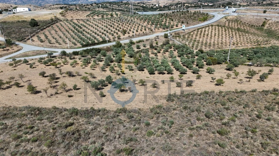 Terreno Agricola ou Rústico para Venda em Eucisia, Gouveia e Valverde Foto 5