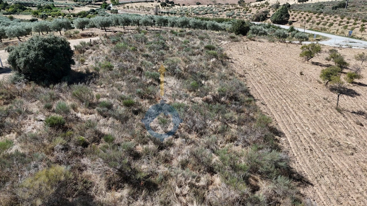 Terreno Agricola ou Rústico para Venda em Eucisia, Gouveia e Valverde Foto 9