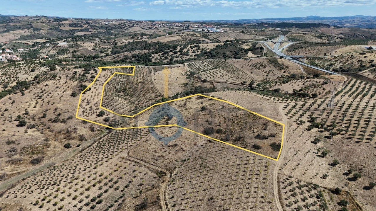Terreno Agricola ou Rústico para Venda em Eucisia, Gouveia e Valverde Foto 1