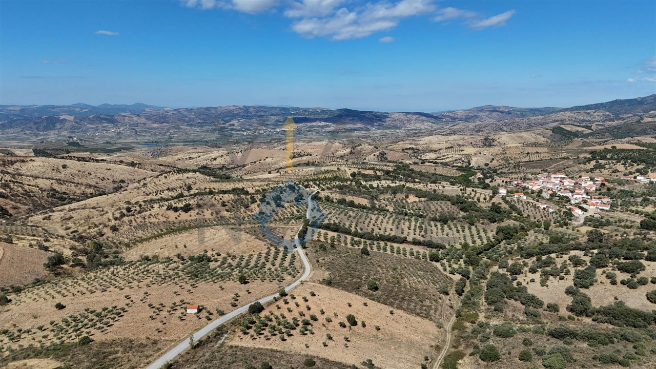 Terreno Agricola ou Rústico para Venda em Eucisia, Gouveia e Valverde Foto 7
