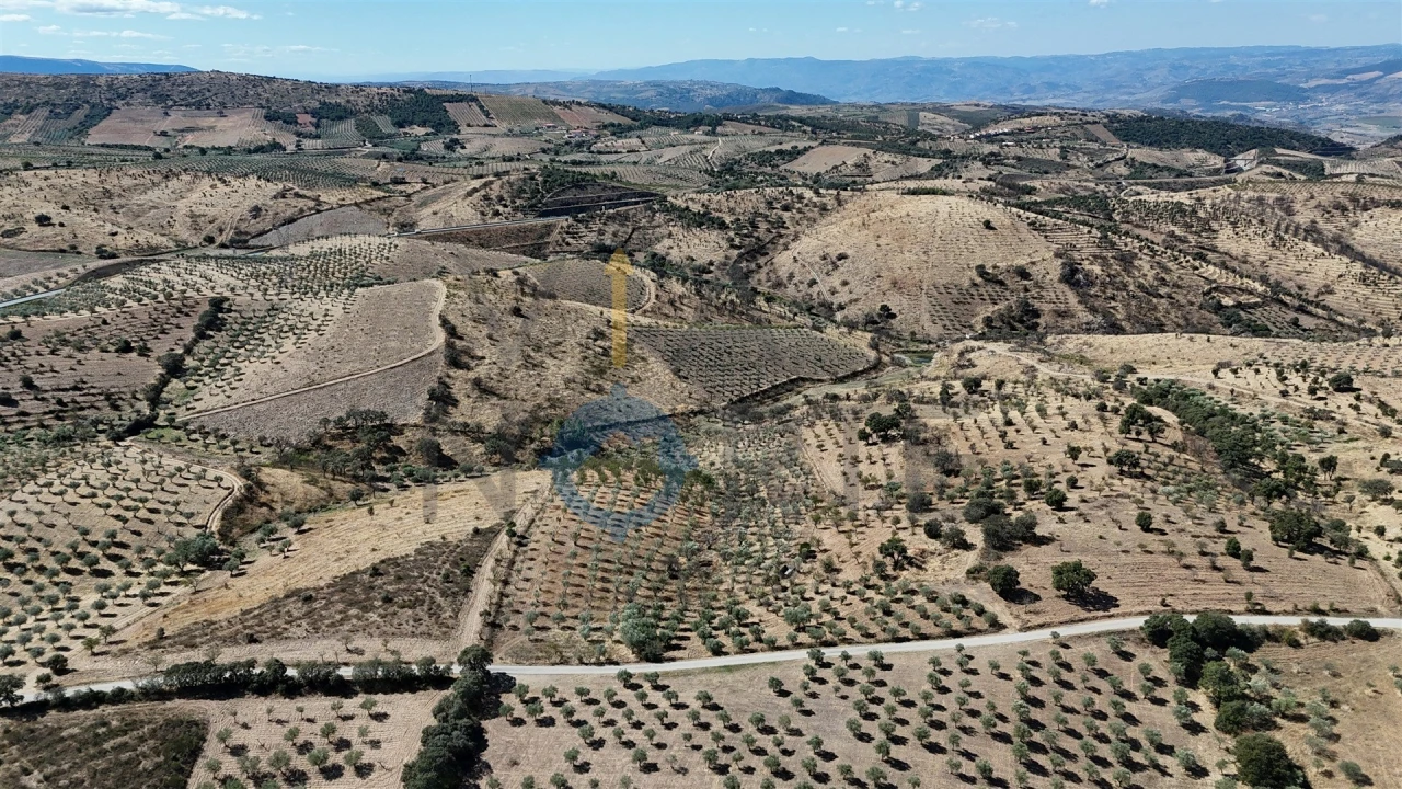 Terreno Agricola ou Rústico para Venda em Eucisia, Gouveia e Valverde Foto 2