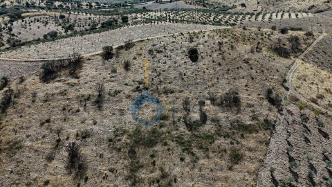 Terreno Agricola ou Rústico para Venda em Eucisia, Gouveia e Valverde