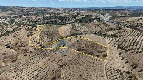 Terreno Agricola ou Rústico para Venda em Eucisia, Gouveia e Valverde