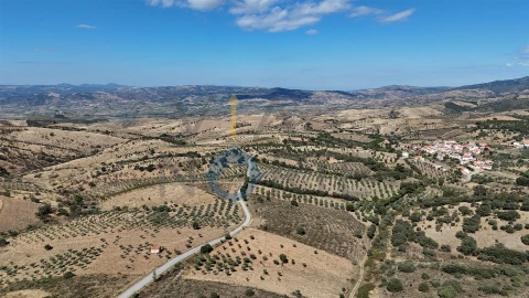 Terreno Agricola ou Rústico para Venda em Eucisia, Gouveia e Valverde