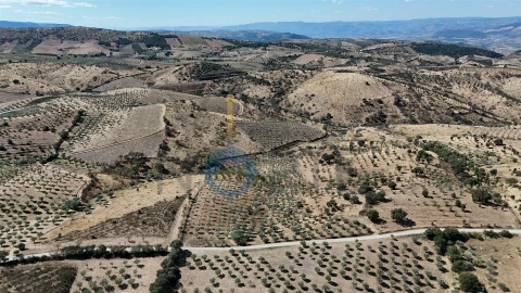 Terreno Agricola ou Rústico para Venda em Eucisia, Gouveia e Valverde