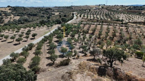 Terreno Agricola ou Rústico para Venda em Eucisia, Gouveia e Valverde