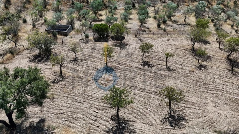 Terreno Agricola ou Rústico para Venda em Eucisia, Gouveia e Valverde