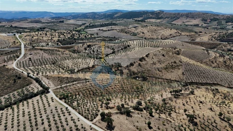 Terreno Agricola ou Rústico para Venda em Eucisia, Gouveia e Valverde