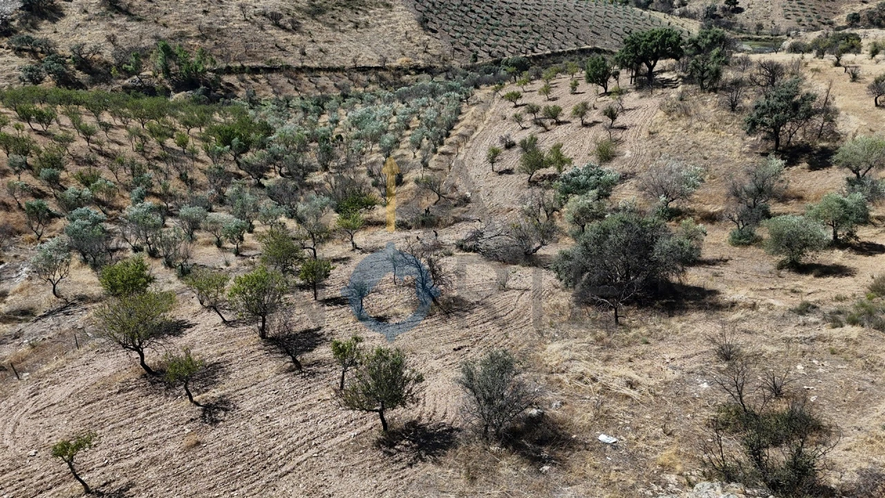 Terreno Agricola ou Rústico para Venda em Eucisia, Gouveia e Valverde Foto 8
