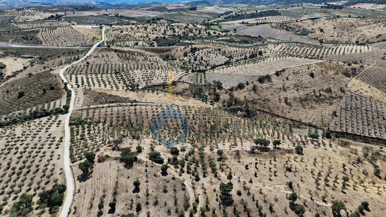 Terreno Agricola ou Rústico para Venda em Eucisia, Gouveia e Valverde Foto 4