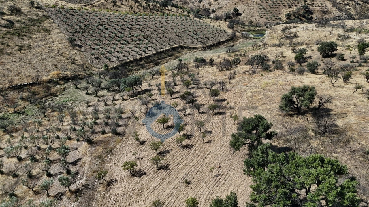 Terreno Agricola ou Rústico para Venda em Eucisia, Gouveia e Valverde Foto 10