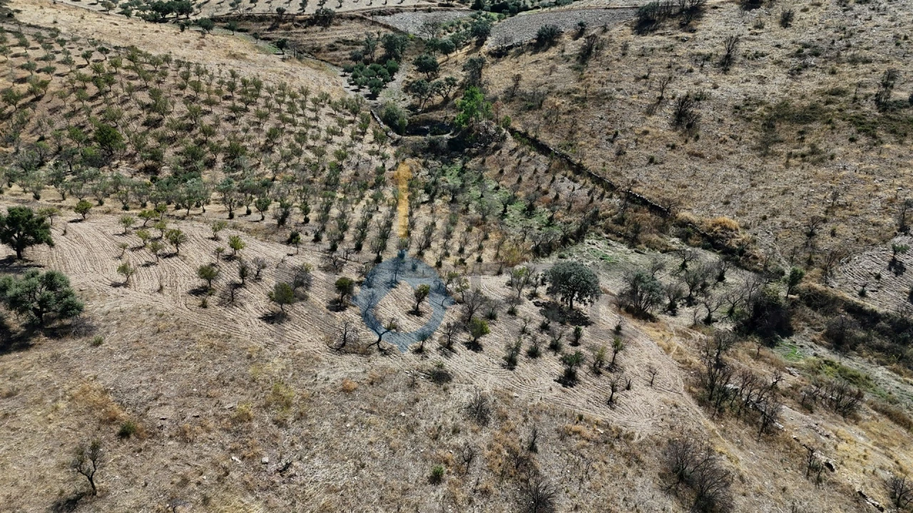Terreno Agricola ou Rústico para Venda em Eucisia, Gouveia e Valverde Foto 11
