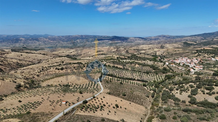 Terreno Agricola ou Rústico para Venda em Eucisia, Gouveia e Valverde Foto 7