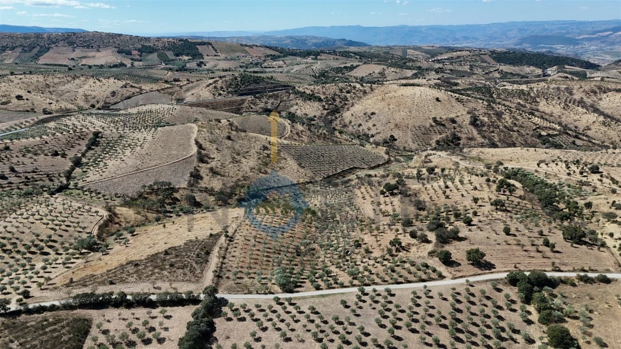 Terreno Agricola ou Rústico para Venda em Eucisia, Gouveia e Valverde Foto 2
