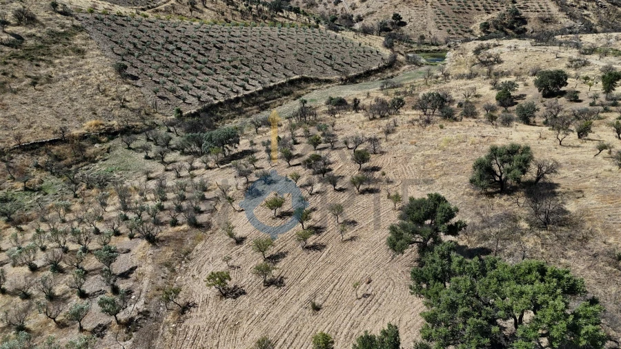 Terreno Agricola ou Rústico para Venda em Eucisia, Gouveia e Valverde Foto 10
