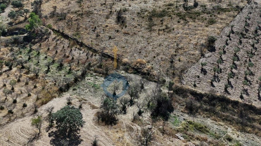 Terreno Agricola ou Rústico para Venda em Eucisia, Gouveia e Valverde Foto 13