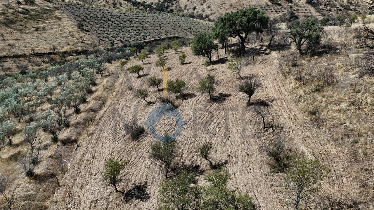 Terreno Agricola ou Rústico para Venda em Eucisia, Gouveia e Valverde Foto 9