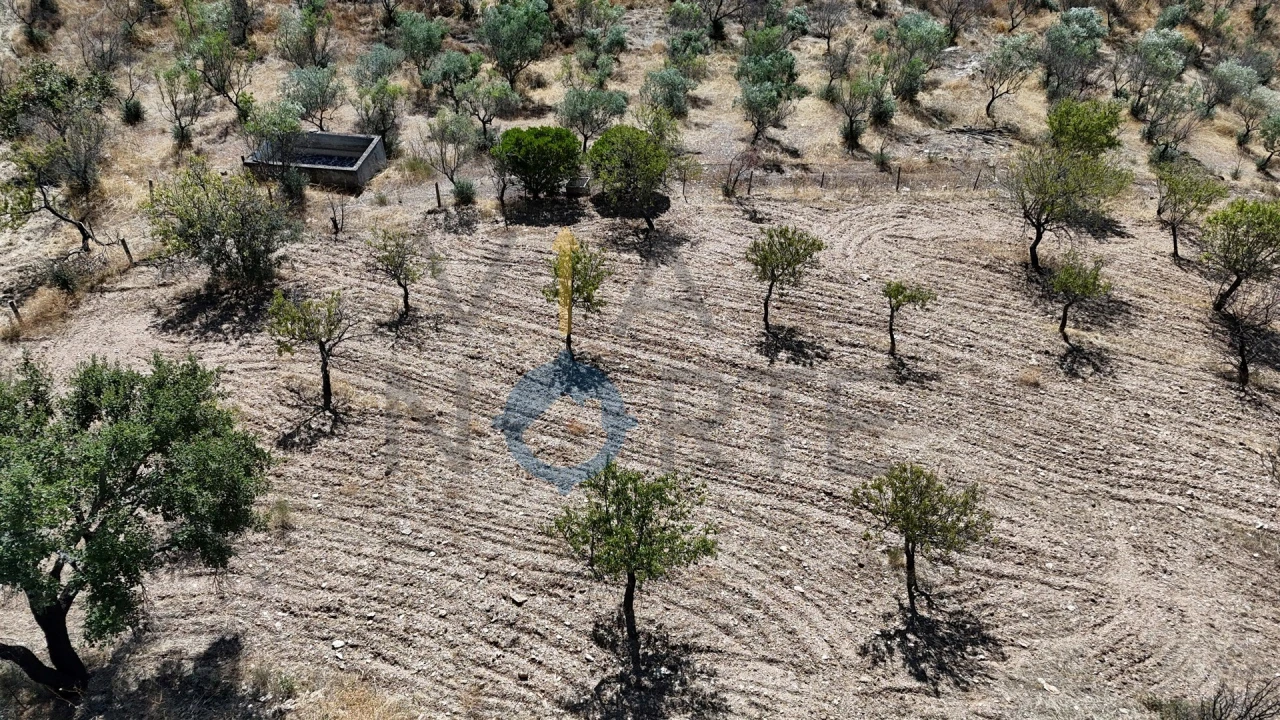 Terreno Agricola ou Rústico para Venda em Eucisia, Gouveia e Valverde Foto 6