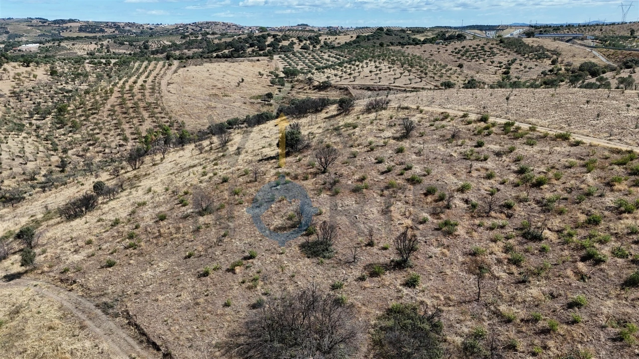 Terreno Agricola ou Rústico para Venda em Eucisia, Gouveia e Valverde Foto 16