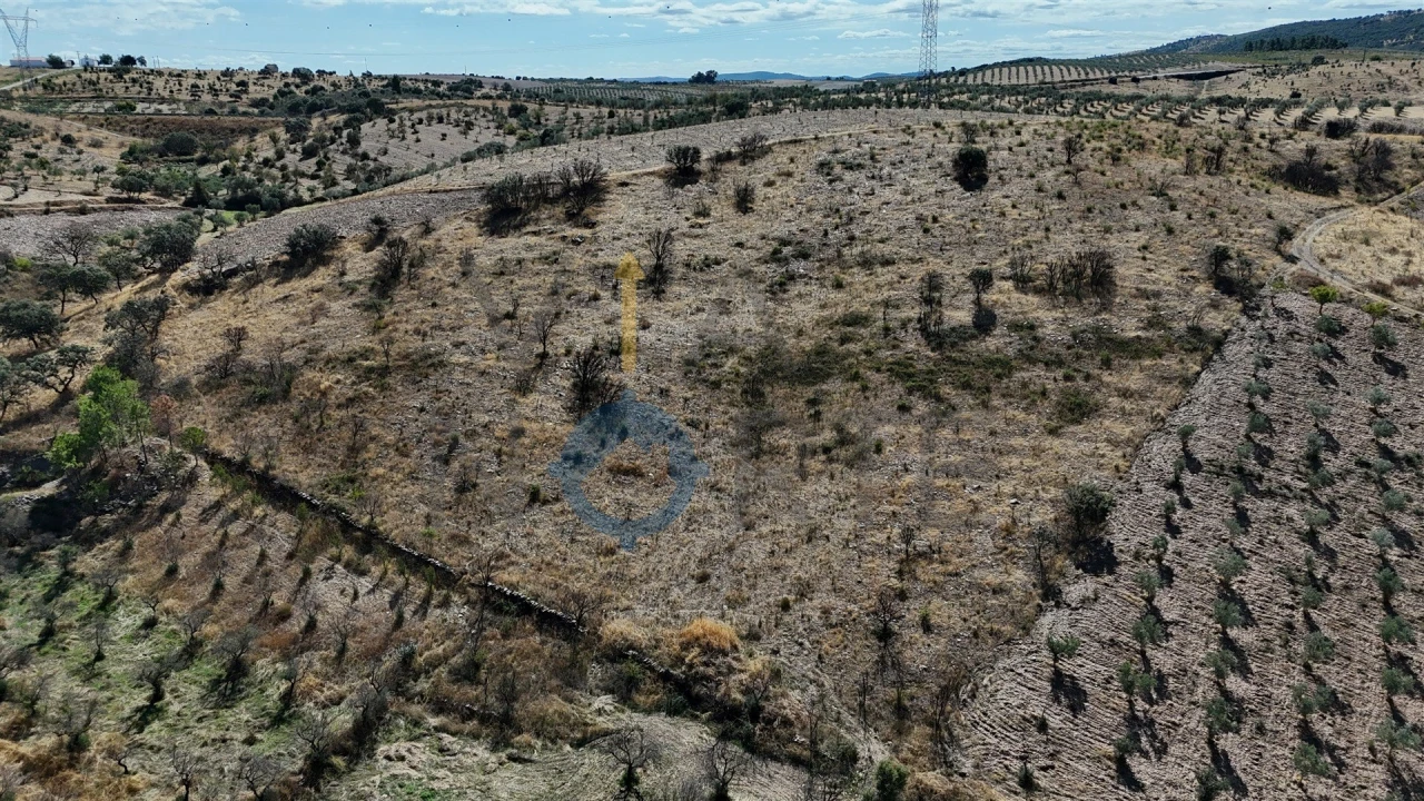 Terreno Agricola ou Rústico para Venda em Eucisia, Gouveia e Valverde Foto 14