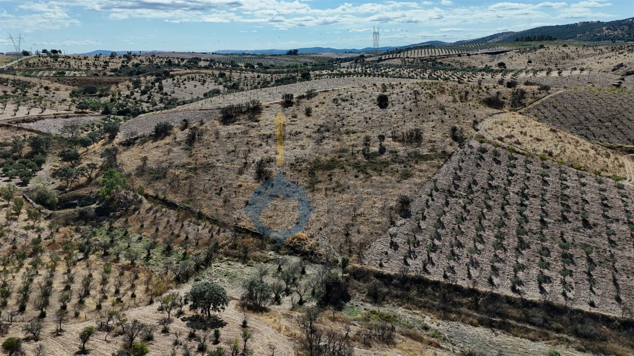 Terreno Agricola ou Rústico para Venda em Eucisia, Gouveia e Valverde Foto 12